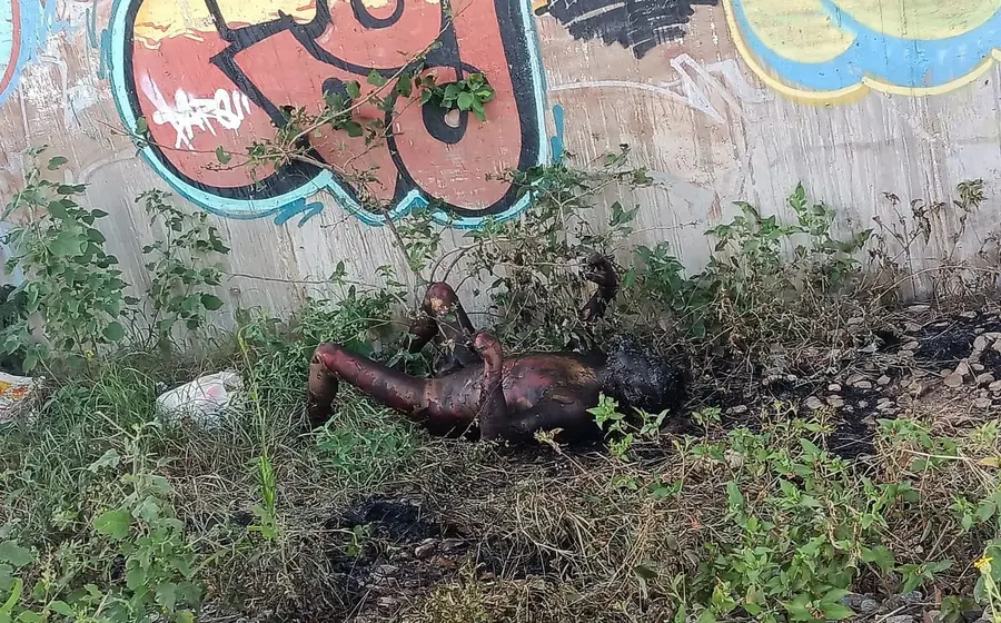 cadáver calcinado 