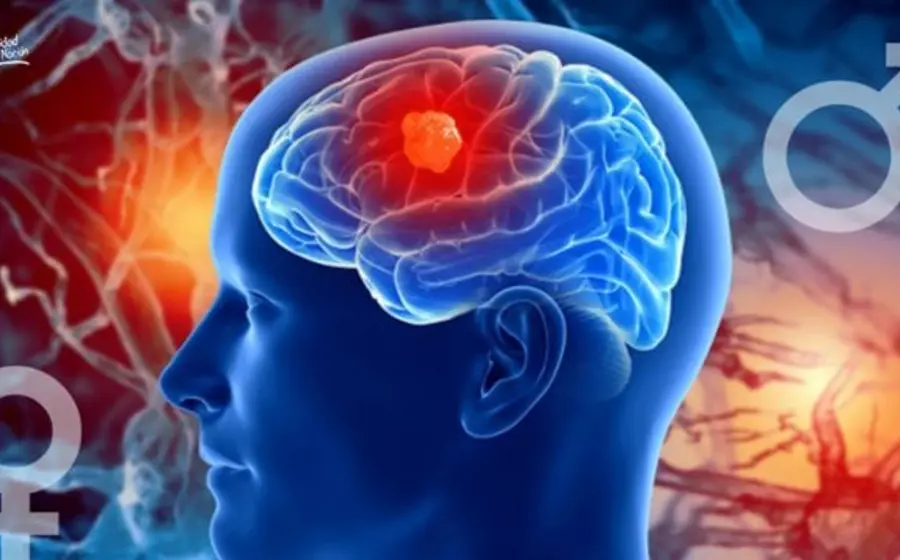 La proteína descubierta potencialmente determina qué recuerdos se pueden alterar y con cuáles tendríamos que lidiar de por vida.