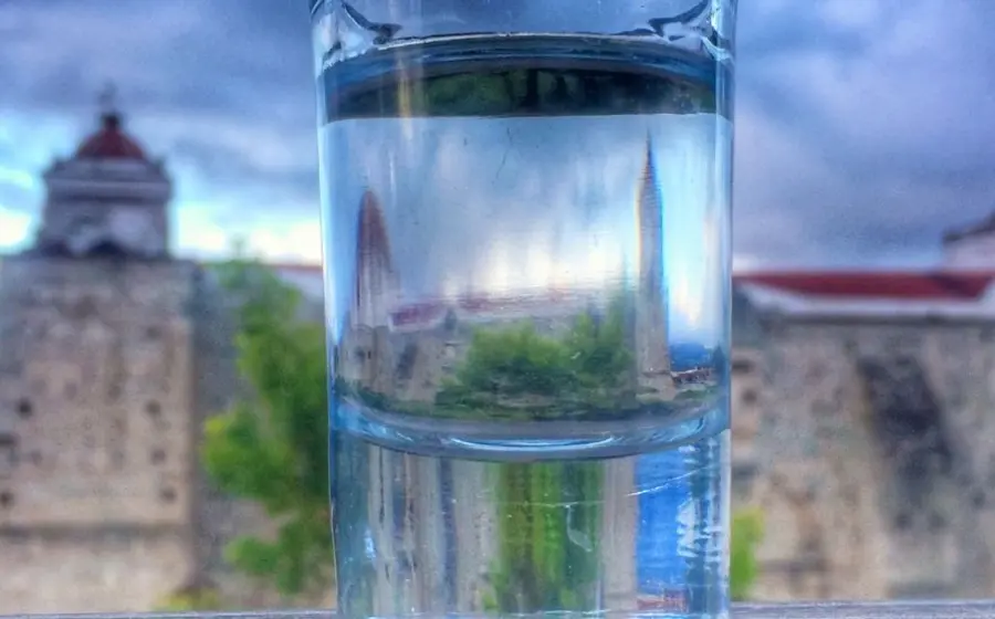vaso con templo de fondo
