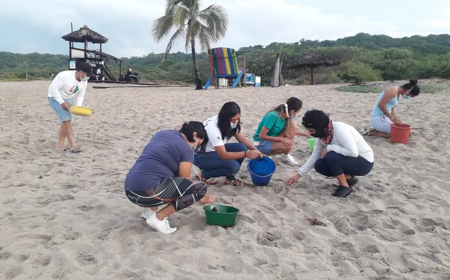 Voluntarios limpiando playa Bachoco