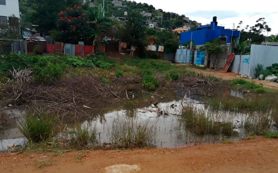  En la colonia Naranjales de Santa Cruz Amilpas se registran inundaciones ante las fuertes lluvias. 