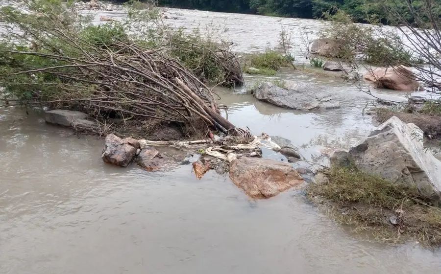 Los restos de Maribel se encontraron en el río Santa Catarina, de San Antonio Ocotlán.