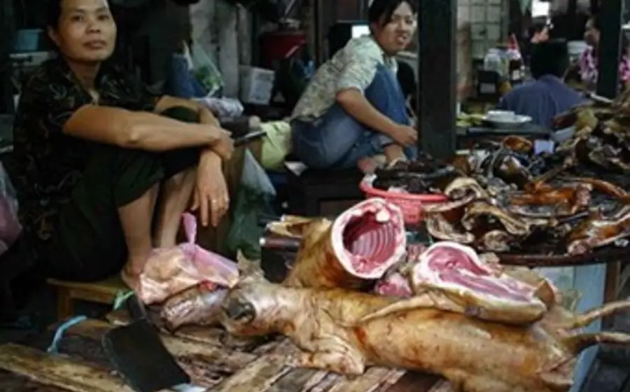 La carne de perro es consumida principalmente por personas mayores en Corea del Sur, es servida en restaurantes y puede comprarse en algunos mercados.