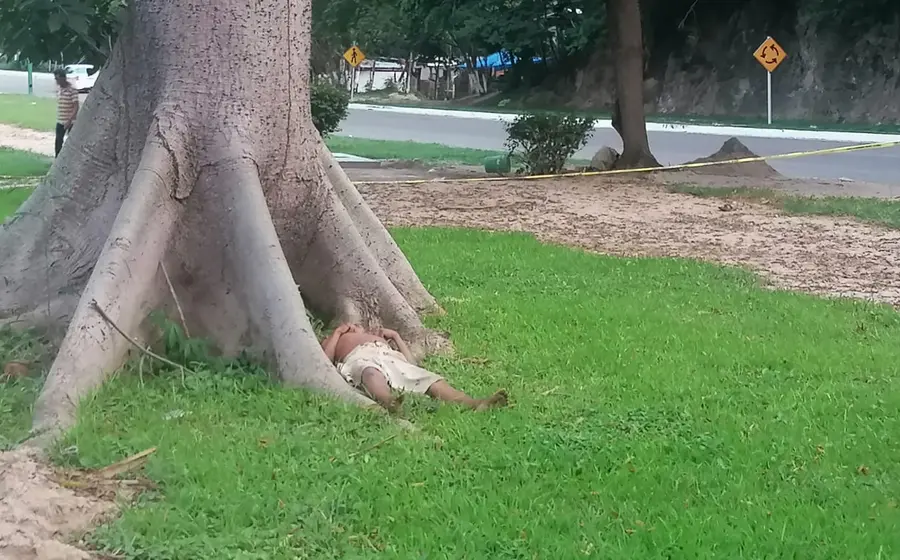 persona muerte entre las raíces de un árbol en Huatulco