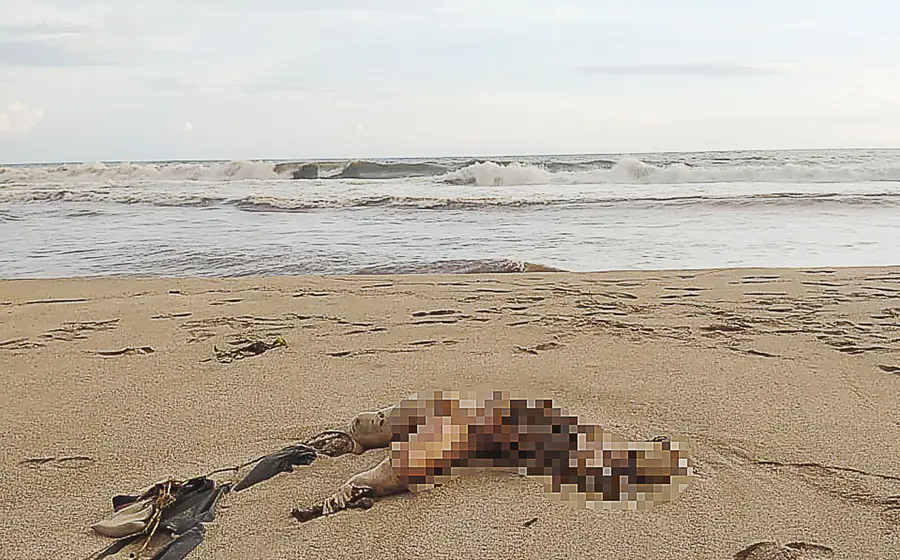 Uno de los cuerpos fue localizado en la playa. 