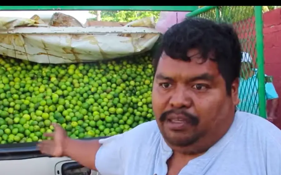 comerciante-de-limon