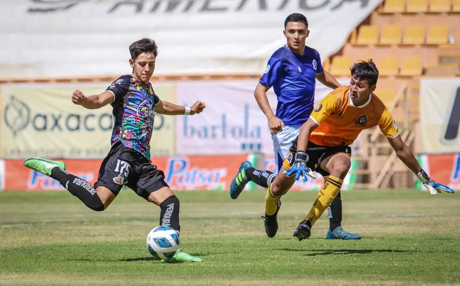 Alebrijes_TDP