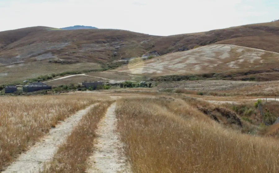 campo-y-montañas 
