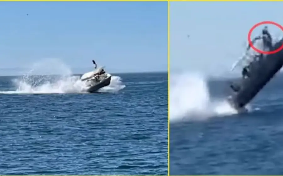 Ballena choca con lancha