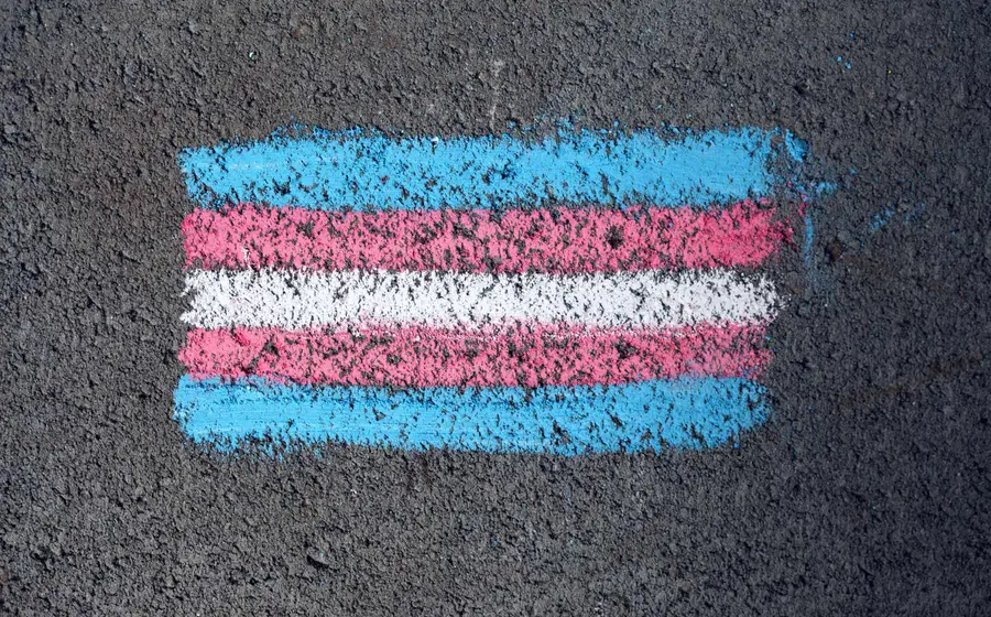 bandera-trans 