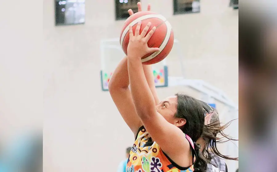 juego-de-basquetbol 