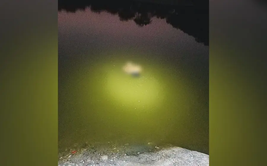 chupacabras_encontrado_flotando