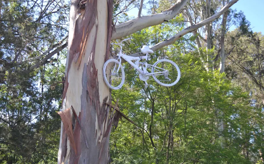 bici-blanca 