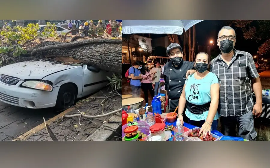 comerciante-del-llano-y-vehiculo-aplastado