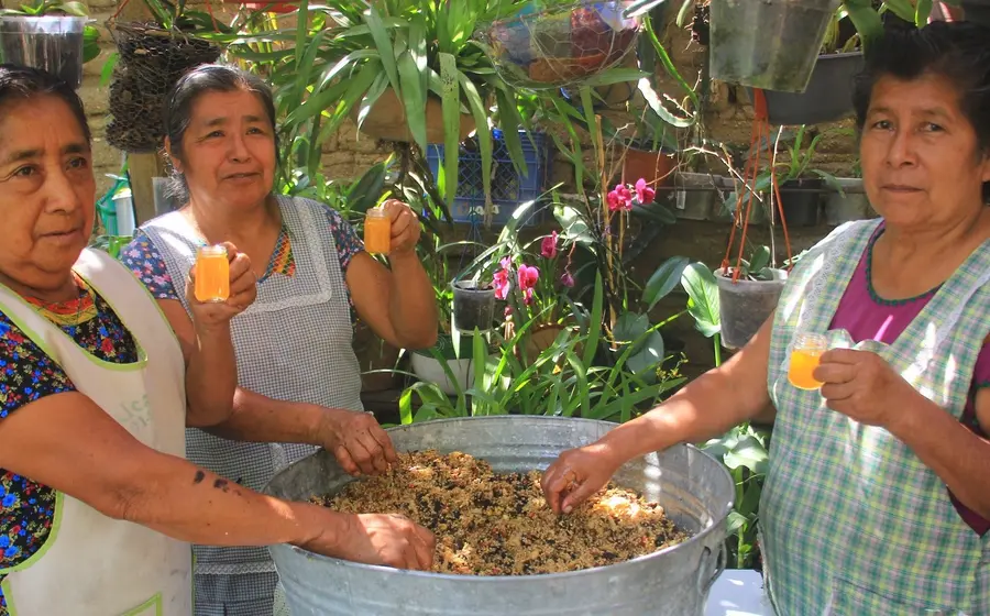 cocineras-tradicionales 