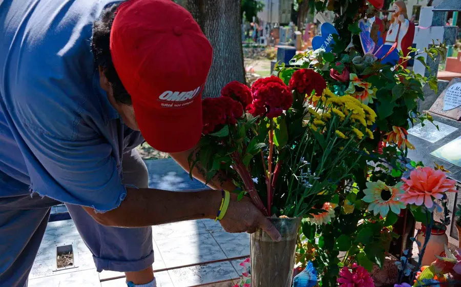 flores-de-panteon 