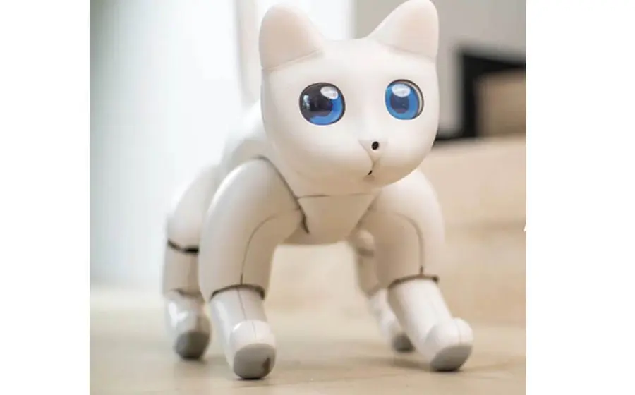 MarsCat