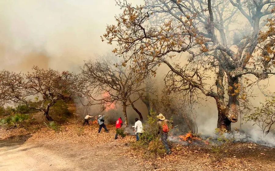 incendio-de-bosque