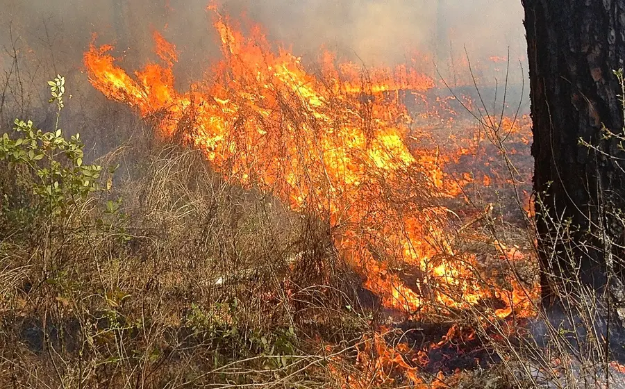 incendio 