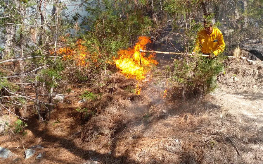 incendio-forestal