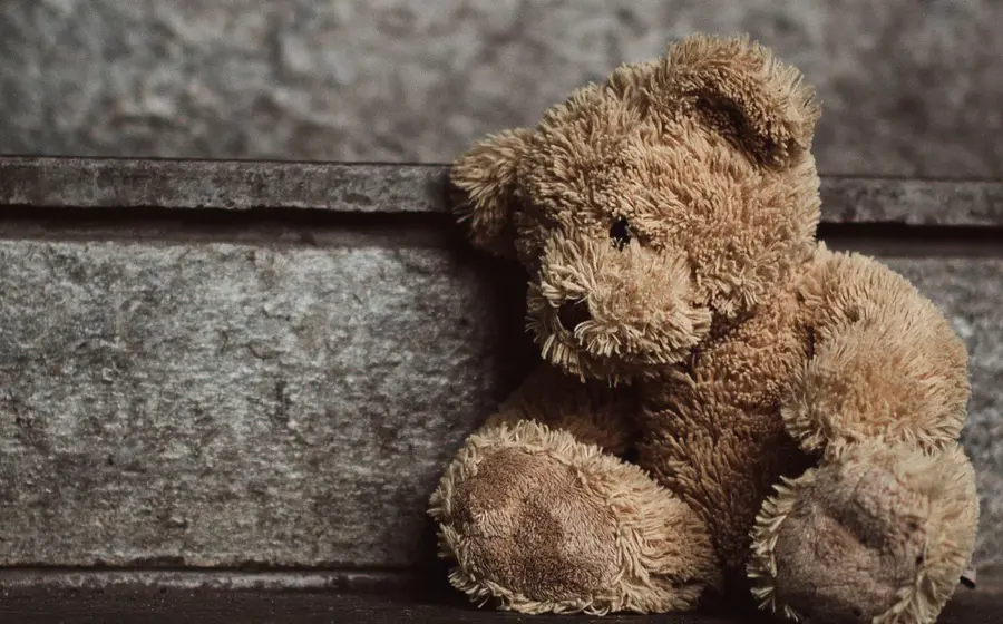 osito-de-peluche 