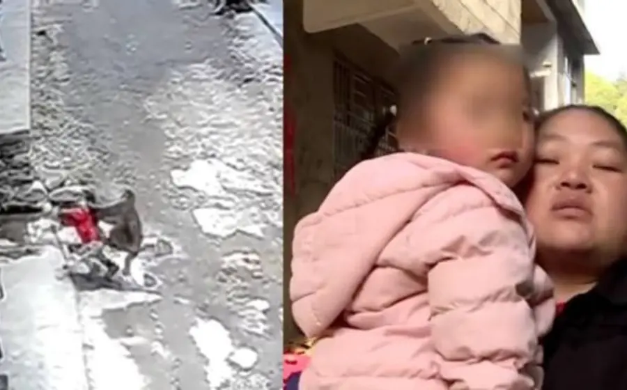 Mono ataca a niña