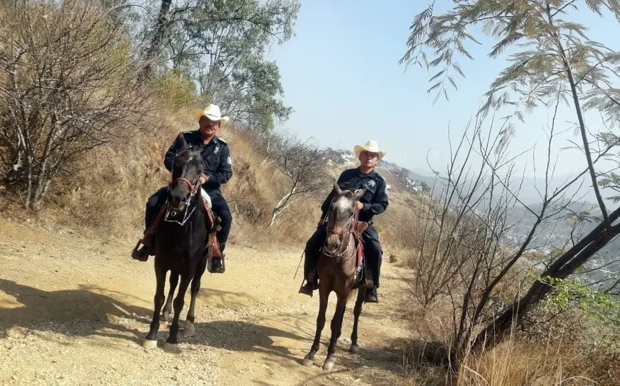 policia-a-caballo