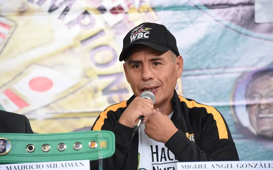 Miguel Ángel González