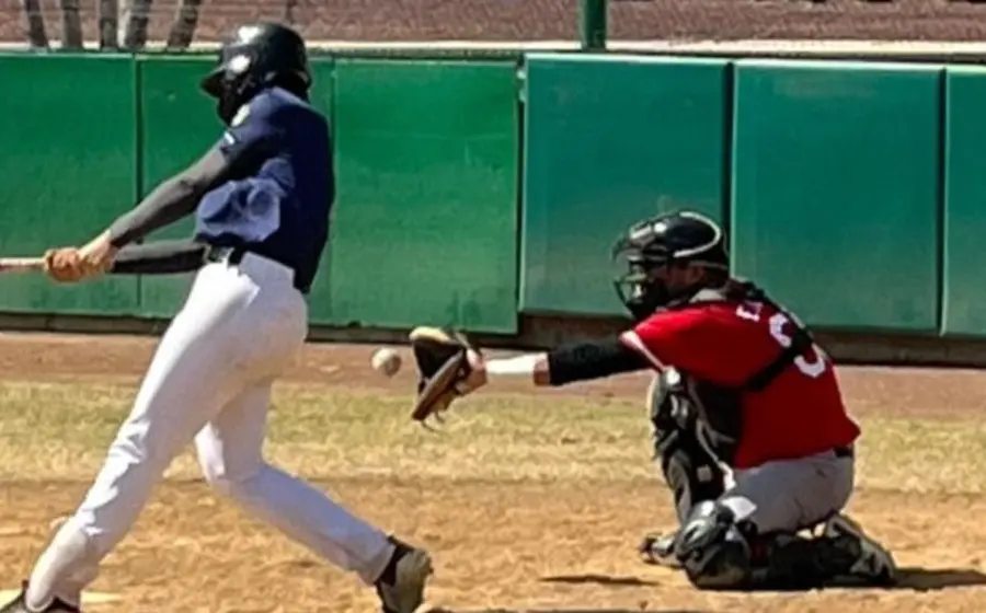 beisbol-tigres 