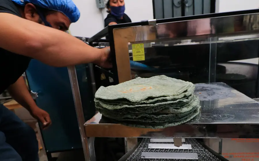 tortillas-de-maquina
