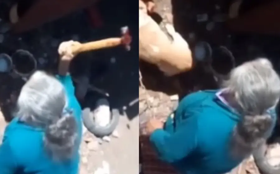 Ataque vs animal
