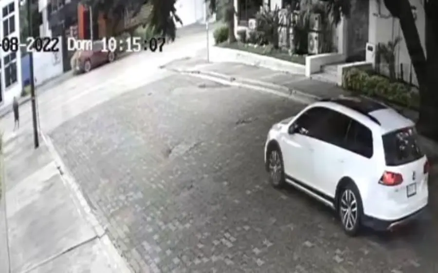 captura_camaras_de_seguridad