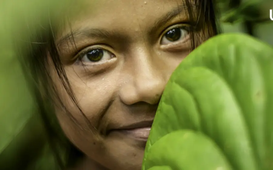 niña 