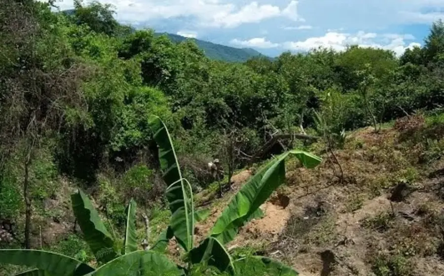 encuentran_sin_vida_a_adultos_mayores