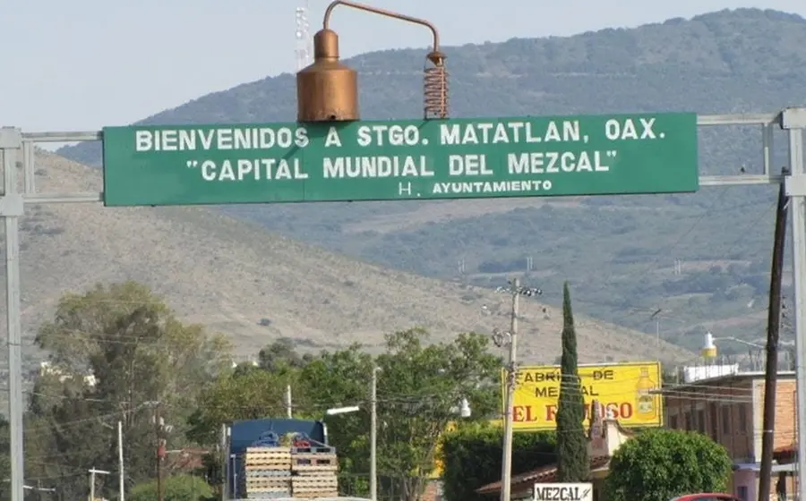 matatlan-oaxaca