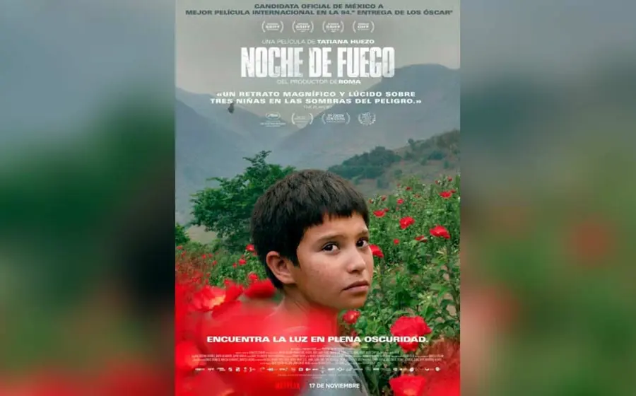 pelicula 