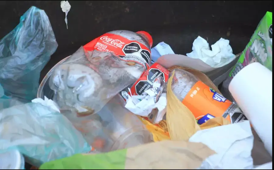 pet-contaminacion 