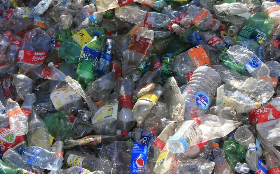 pet-plastico-basura 