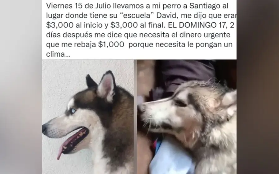 denuncia_en_twitter