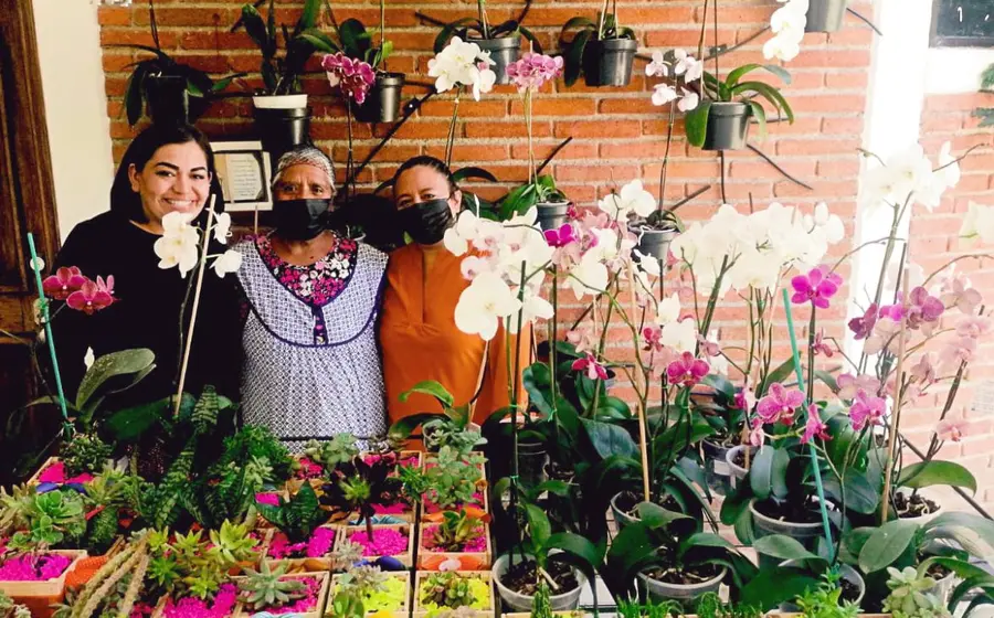 refugio-orquideas-oaxaca