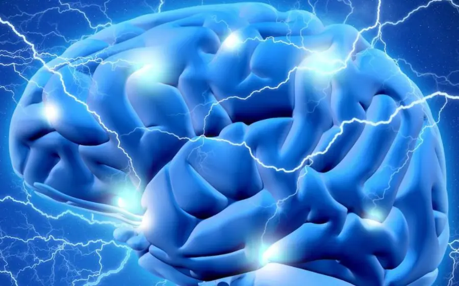 cerebro_humano