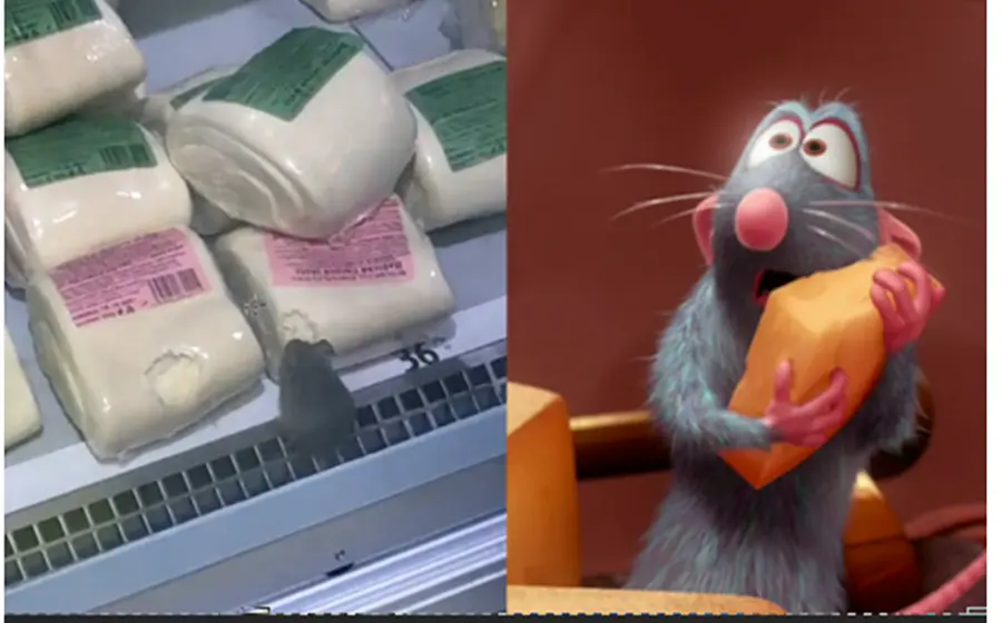 En el material puede verse a una rata de buen tamaño que se alimenta de todos los productos que encuentra en exhibición en un refrigerador. 