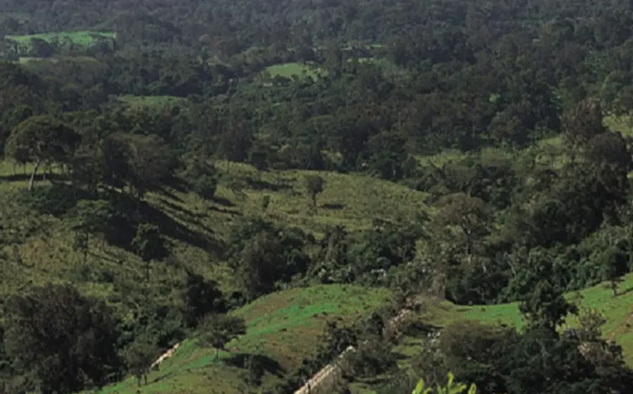 chimalapa