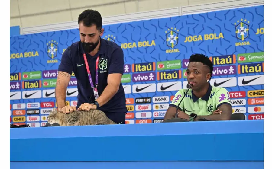 Vinícius Rodríguez, miembro del gabinete de prensa de la Confederación Brasileña de Fútbol, acarició al gato y luego lo lanzó al suelo.