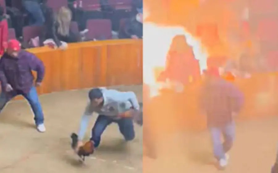 En cuestión de segundos se escucha una explosión mientras las personas que se encontraban al centro buscaban protegerse, incluso uno de ellos tomó a dos gallos para protegerlos.