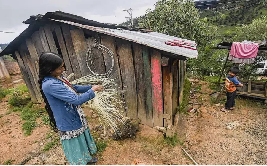 De las 5 mil 234 localidades clasificadas en algún rango de pobreza, mil 68 registraron 80% o más de su población en pobreza extrema.