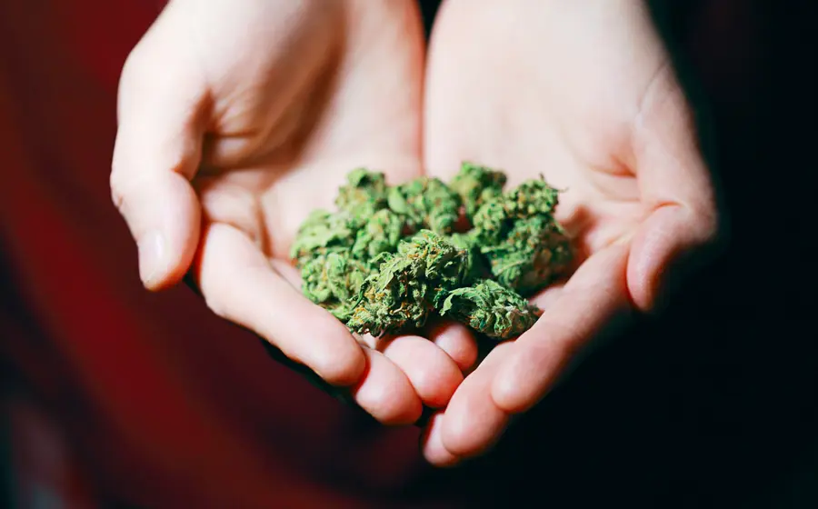 marihuana
