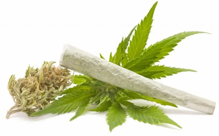 marihuana
