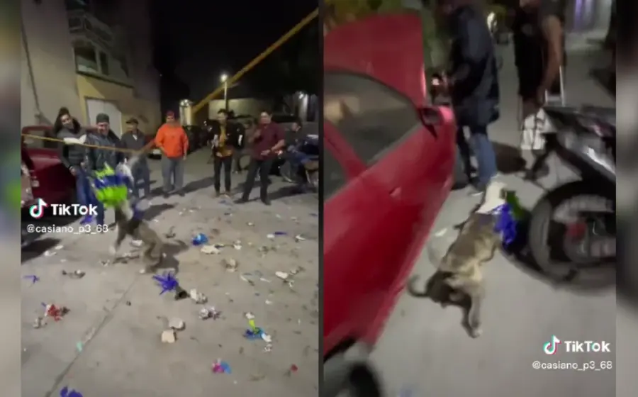 perrito_grinch_posada_roba_piñata