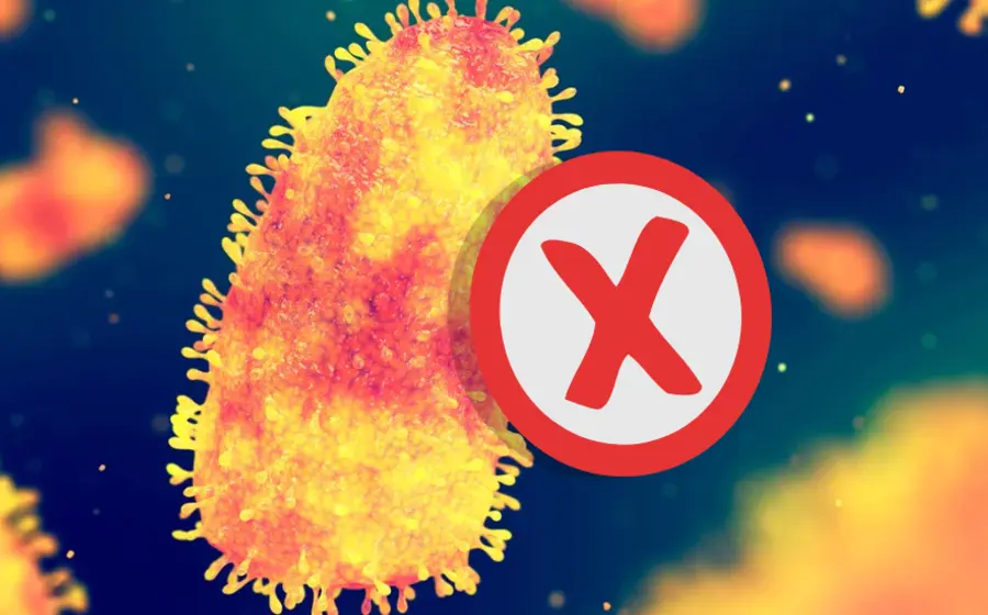 rabia_virus